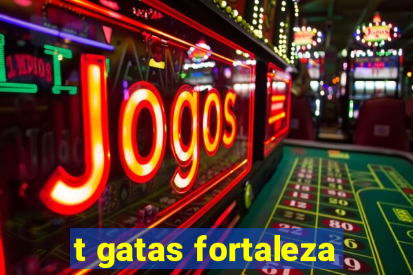 t gatas fortaleza